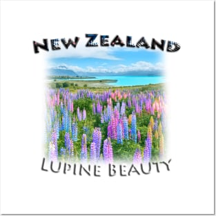 New Zealand - Lupine Beauty Posters and Art